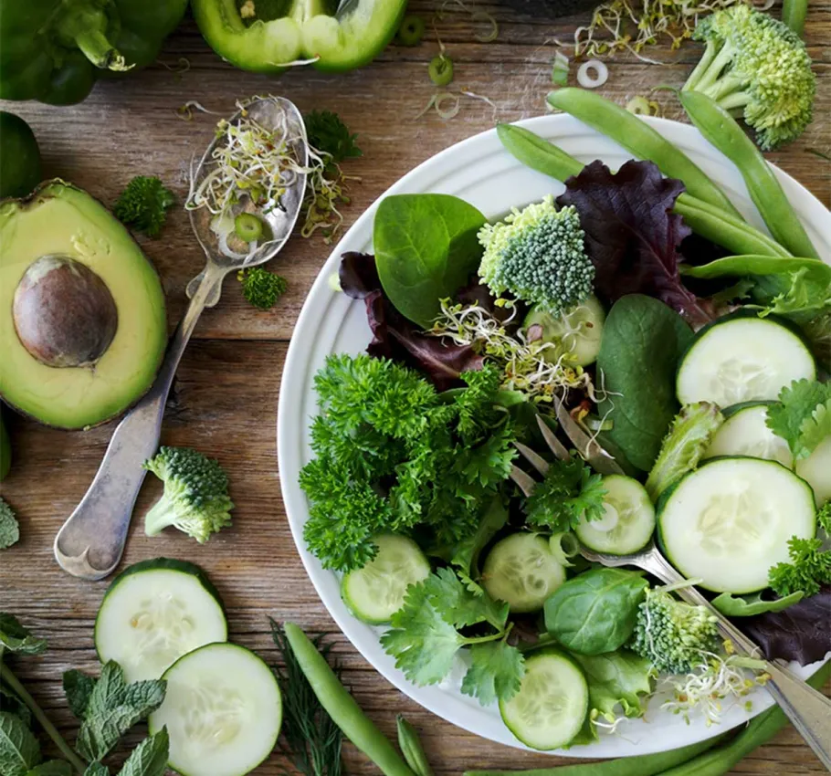 Ein grüner Salat für einen kraftvollen Start in die Wechseljahre im Fastenurlaub des Grand Hotel Binz auf Rügen.