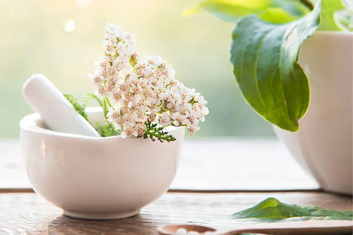 Ausgebildete Heilpraktiker sorgen im Grand Hotel Binz mithilfe von Naturheilkunde sowie alternativen Heilmethoden für Ihr Wohlbefinden.