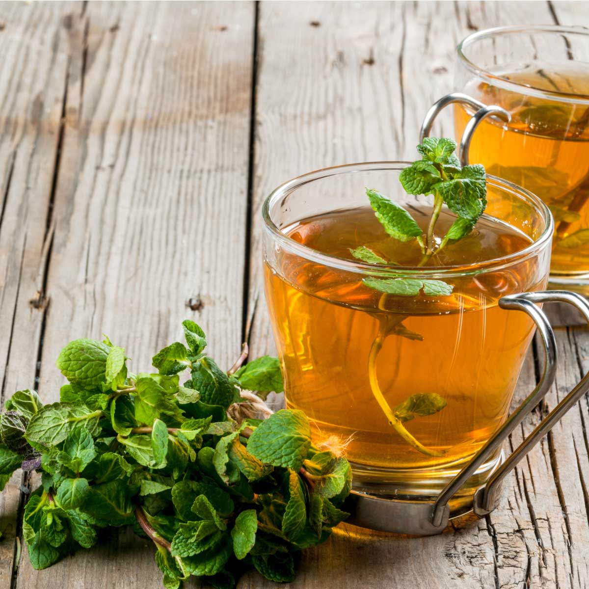 Ayurdvedischer Tee ist Teil der Heilfasten-Kur nach Buchinger Art im Wellnessurlaub des Grand Hotel Binz auf Rügen.